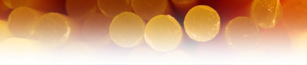 spaghetti dinner spaghetti dinner