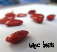 plunge 09.30 magic beans